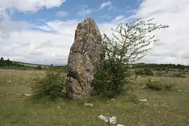 Menhir du Fraïsse.