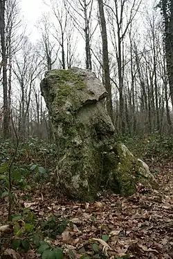 Image illustrative de l’article Menhir du Grand Berger