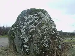 Menhir du Grand Coudray.