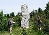 Menhir du Pas du Laret