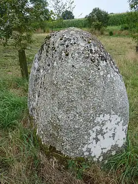 Menhir du Petit Vauridel