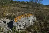 Menhir du Pioch de Roumanis