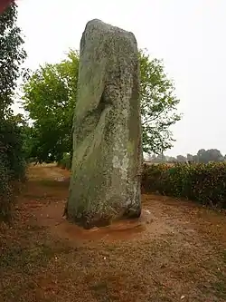 Image illustrative de l’article Menhirs du Plessis