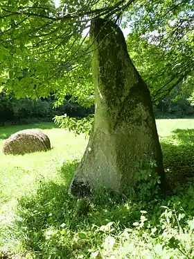 Menhir du Pré de Camet