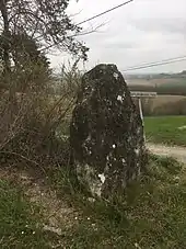 Menhir du Râle à Brugnac