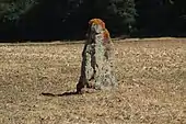 Menhir du Vieux-Poitiers