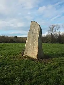 Image illustrative de l’article Menhir de Lianver