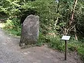 Menhir d'Artus