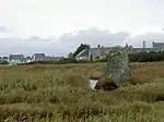 Le menhir de Lehan, dans son étang, Classé MH (1923).