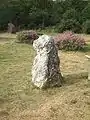 Pierre en grès quartzitique, exemple unique sur le site, les autres menhirs étant en schiste local extrait de carrières proches.