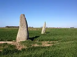 Les deux menhirs de l'alignement de Saint-Denec.