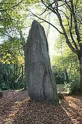 Menhirs de Lespurit Ellen