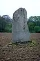 L'un des deux menhirs de Kernars.