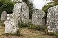 Quelques menhirs de l'alignement de Kerzérho.