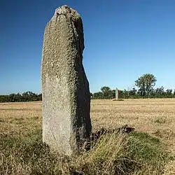 Image illustrative de l’article Menhirs de Mezdoun