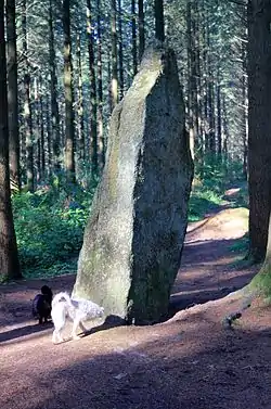 Image illustrative de l’article Menhirs de l'Étoile