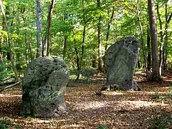 Les menhirs dits « des Indrolles » dans la forêt domaniale d'Halatte, situés sur le territoire de la commune de Senlis (60) dans la parcelle 296 non loin de la D 1017.