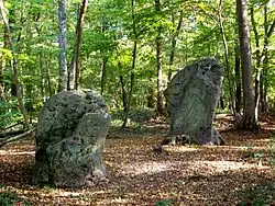 Image illustrative de l’article Menhirs des Indrolles