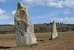 Image illustrative de l’article Les Jumeaux (menhirs)