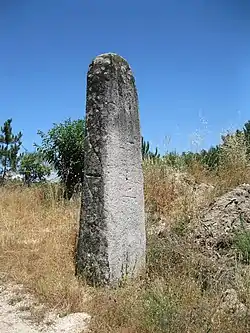 Image illustrative de l’article Menhir de Caparrosa