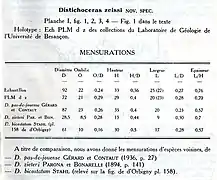 tableau de Mensurations de Distichoceras zeissi par N. Théobald, 1958.