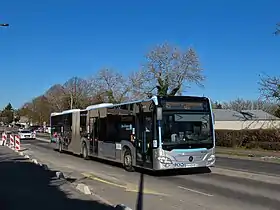 Cergy est desservi par de nombreuses lignes de bus STIVO