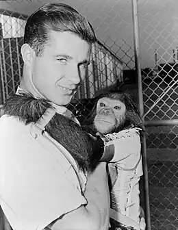 Le chimpanzé Enos avec son soigneur en 1961.