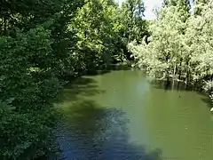 Le Merdanson en amont du pont de Lous.