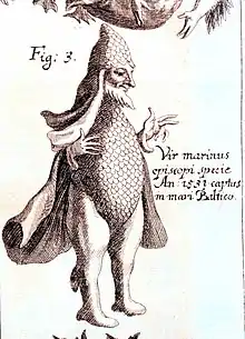 1696, Johannes Zahn, Vir marinus episcopi specie, Specula physico (…)