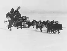 Deux hommes en tenue polaire conduisent un attelage de chiens de traîneau tirant un traîneau lourdement chargé.