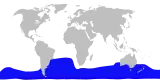 Aire de répartition du Mésoplodon d'Andrews