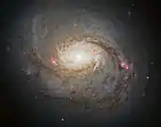 Gros plan sur le centre de M77 par le télescope spatial Hubble.