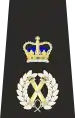 Metropolitan Police Assistant Commissioner of the Metropolis Epaulette