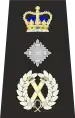 Metropolitan Police Commissioner of the Metropolis Epaulette