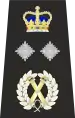 Metropolitan Police Deputy Commissioner of the Metropolis Epaulette