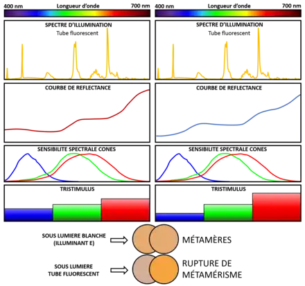 Rupture du métamérisme de deux couleurs de surface sous éclairage par tube fluorescent.