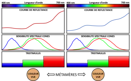 Exemple de métamérisme de deux lumières colorées. Leur spectre est différent, mais la vision humaine les perçoit de la même façon.