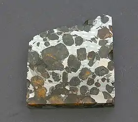 Tranche de la pallasite Brahin, trouvée en Biélorussie.