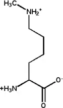 N6-Méthyl-L-lysine