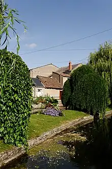 Les Mauves à Meung-sur-Loire.