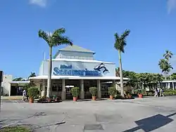 Image illustrative de l’article Miami Seaquarium