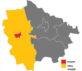 Międzychód (gmina)