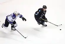 Photographie de deux joueurs de hockey