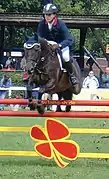 Cheval franchissant un vertical sur un parcours d'obstacles.