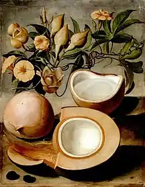 Peinture en couleur montrant à l'avant plan une noix de coco en coupe transversale, placée devant une noix entière et une noix ouverte et débarrassée de sa coque et à l'arrière-plan un rameau fleuri de Merremia tuberosa.