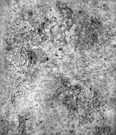 Étude, Casa Buonarroti, 41,8 × 28,8 cm. Le cadre de L'Assomption du Pérugin est encore visible.