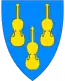 Blason de Midt-Telemark