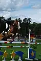 Poney français de selle lors d'une compétition de saut d'obstacles.