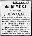 Publicité en faveur du mimosa provenant d'une plantation située à Théoule (1907).