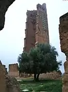 Le minaret et l'olivier (vue angle sud-est)